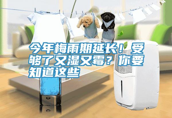今年梅雨期延長！受夠了又濕又霉？你要知道這些