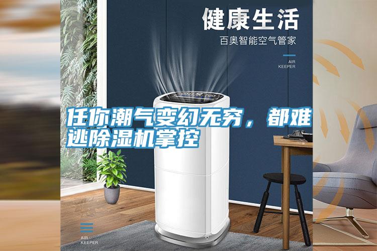 任你潮氣變幻無窮，都難逃除濕機掌控
