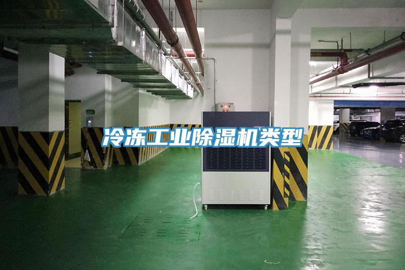 冷凍工業除濕機類型