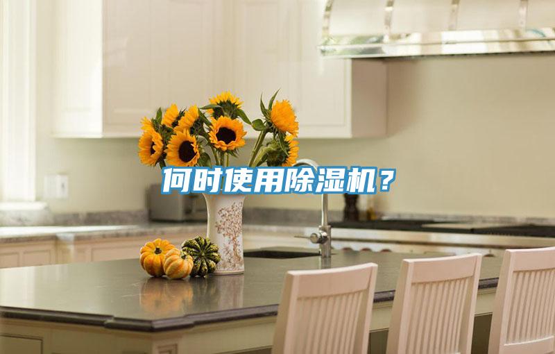 何時使用除濕機？