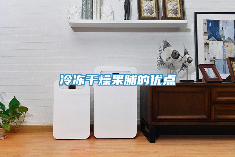 冷凍干燥果脯的優點