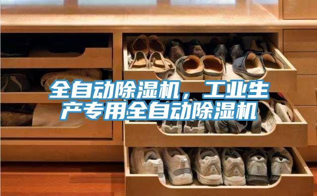 全自動(dòng)除濕機(jī)，工業(yè)生產(chǎn)專(zhuān)用全自動(dòng)除濕機(jī)