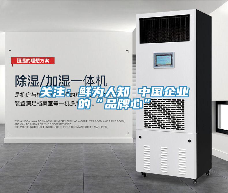 關注：鮮為人知 中國企業的“品牌心”