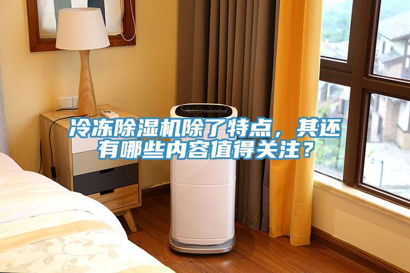 冷凍除濕機(jī)除了特點,其還有哪些內(nèi)容值得關(guān)注?