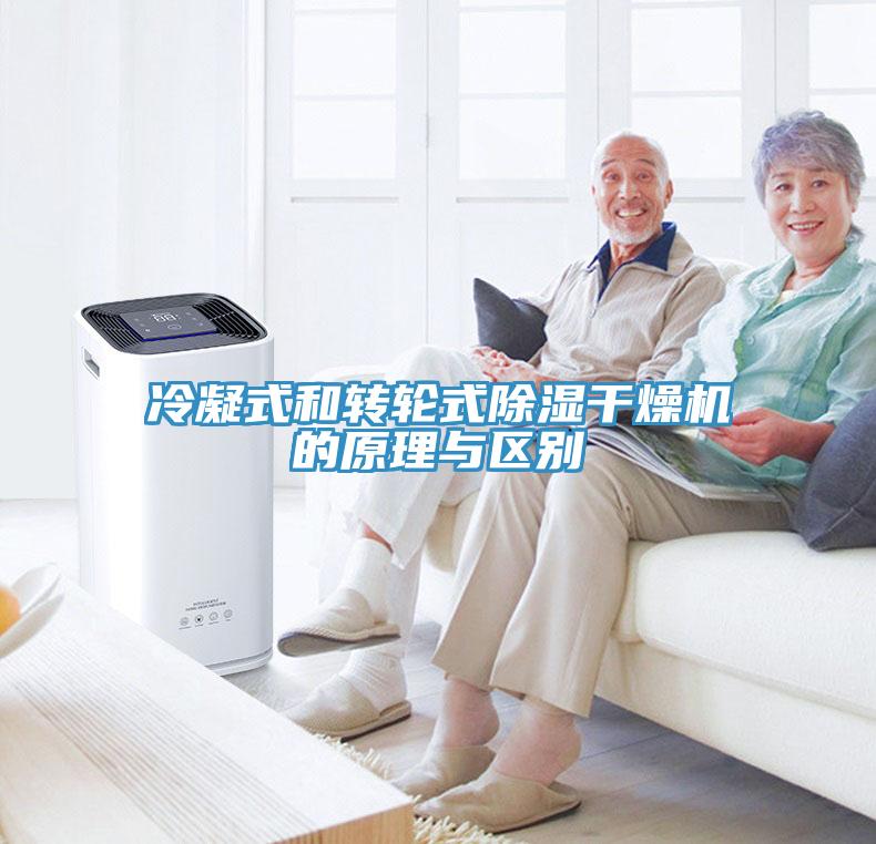 冷凝式和轉(zhuǎn)輪式除濕干燥機的原理與區(qū)別