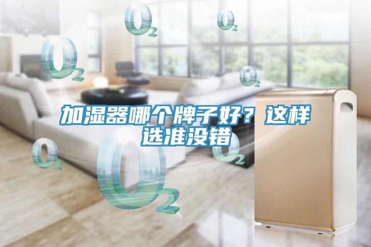 加濕器哪個牌子好？這樣選準沒錯