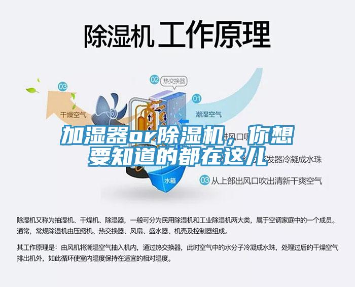 加濕器or除濕機(jī)，你想要知道的都在這兒