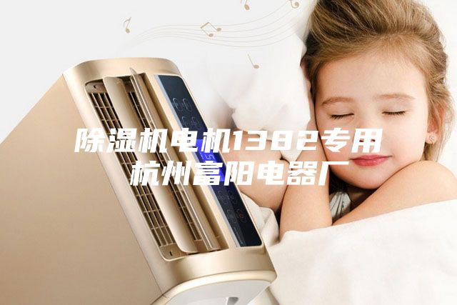除濕機(jī)電機(jī)1382專(zhuān)用 杭州富陽(yáng)電器廠(chǎng)