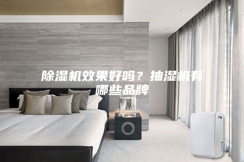 除濕機效果好嗎？抽濕機有哪些品牌
