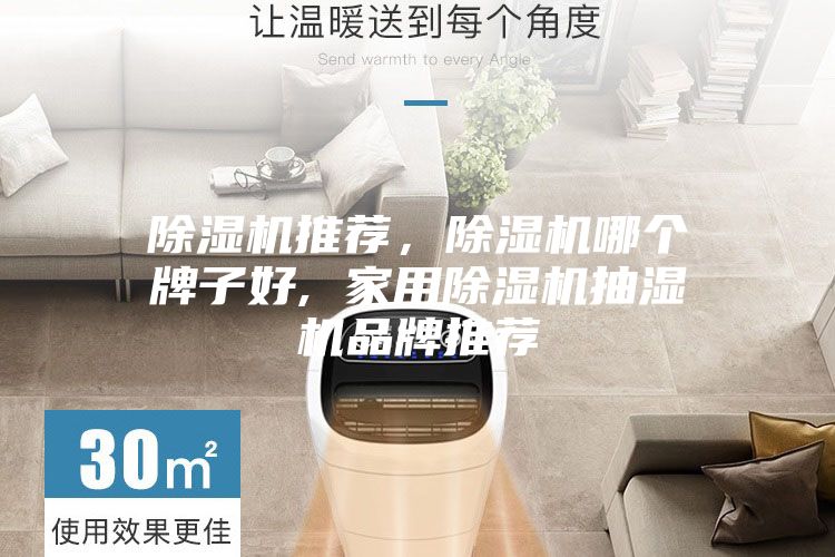 除濕機(jī)推薦，除濕機(jī)哪個(gè)牌子好, 家用除濕機(jī)抽濕機(jī)品牌推薦