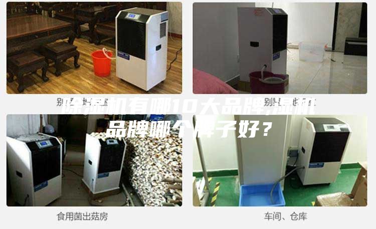 除濕機有哪10大品牌,濕機品牌哪個牌子好？