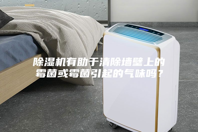 除濕機有助于清除墻壁上的霉菌或霉菌引起的氣味嗎？