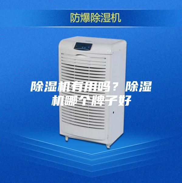 除濕機(jī)有用嗎？除濕機(jī)哪個(gè)牌子好