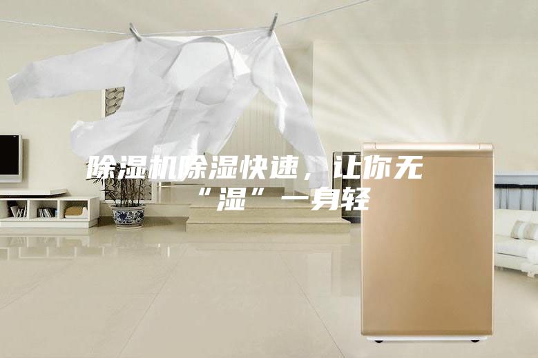 除濕機除濕快速，讓你無“濕”一身輕
