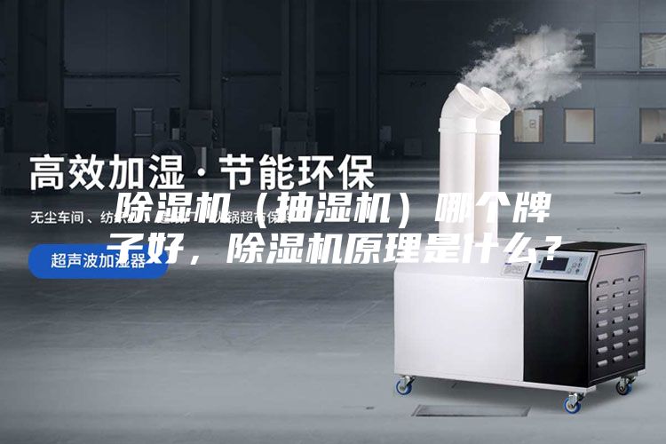 除濕機（抽濕機）哪個牌子好，除濕機原理是什么？