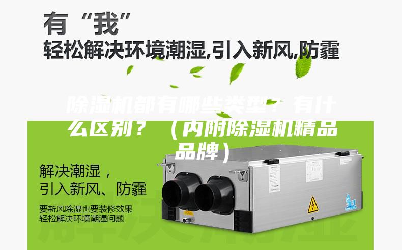 除濕機都有哪些類型？有什么區別？（內附除濕機精品品牌）