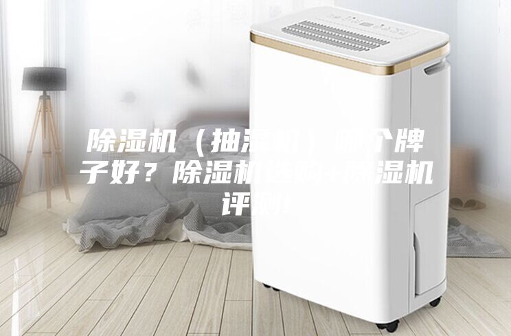 除濕機（抽濕機）哪個牌子好？除濕機選購+除濕機評測!