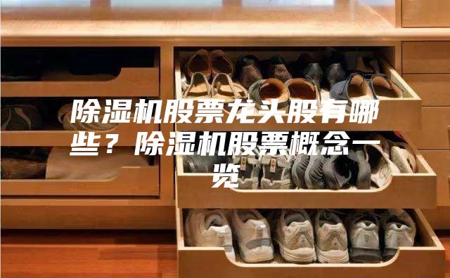 除濕機股票龍頭股有哪些？除濕機股票概念一覽