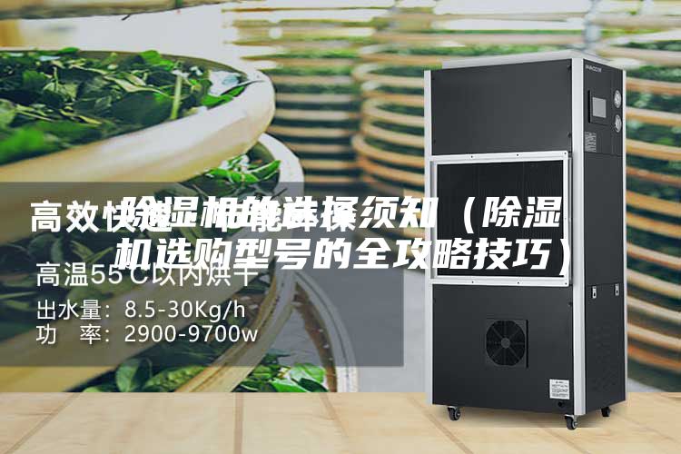 除濕機(jī)的選擇須知（除濕機(jī)選購型號(hào)的全攻略技巧）