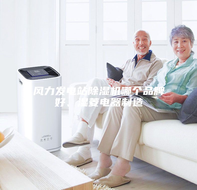 風力發電站除濕機哪個品牌好、濕菱電器制造