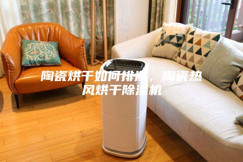 陶瓷烘干如何排濕，陶瓷熱風烘干除濕機