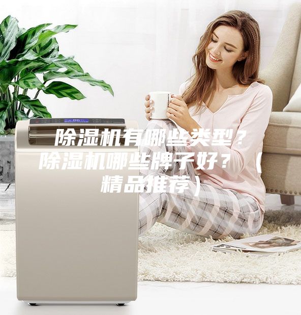 除濕機有哪些類型？除濕機哪些牌子好？（精品推薦）