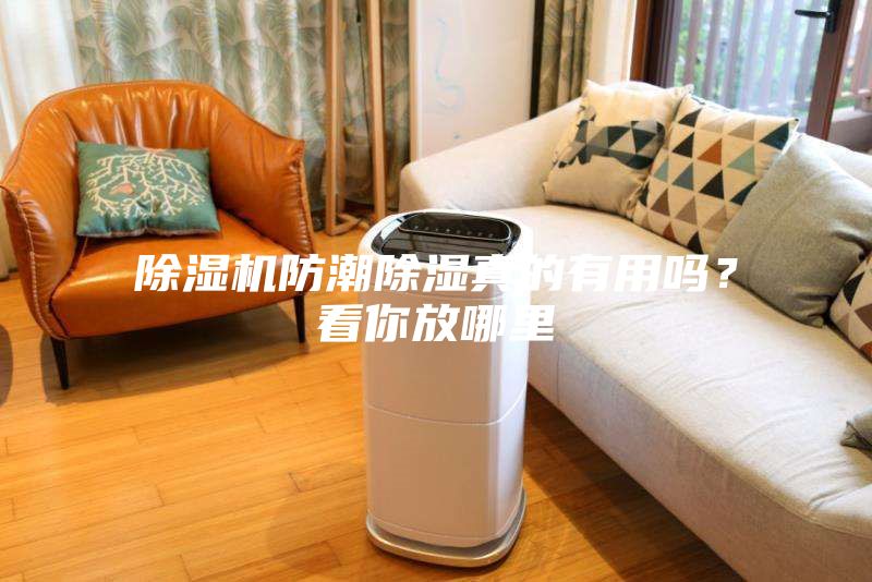 除濕機防潮除濕真的有用嗎？看你放哪里