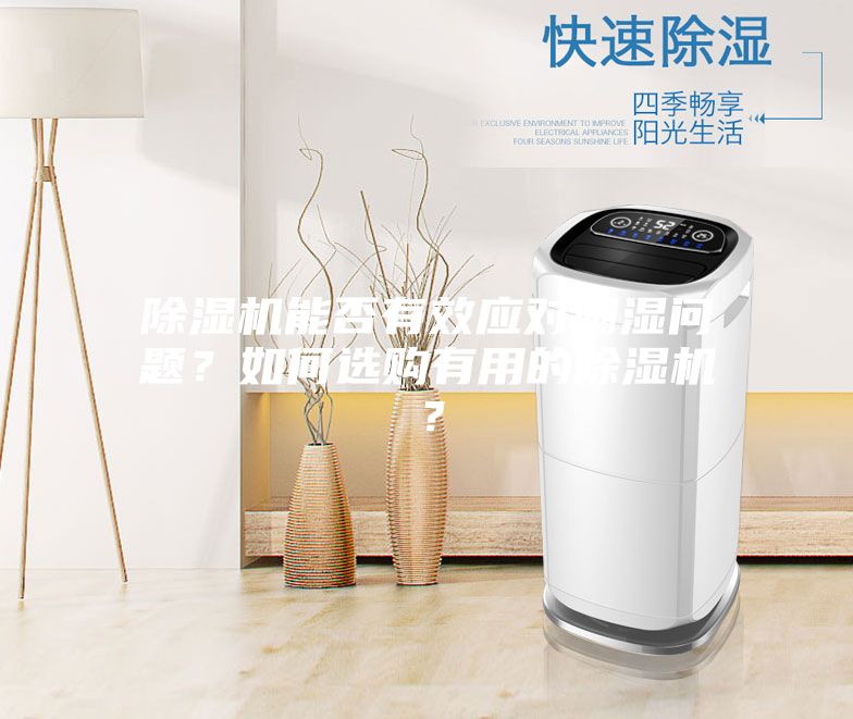 除濕機能否有效應對潮濕問題？如何選購有用的除濕機？