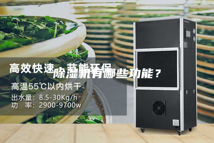 除濕機有哪些功能？