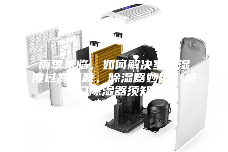 雨季來臨，如何解決室內濕度過高問題，除濕器妙用，進口除濕器須知