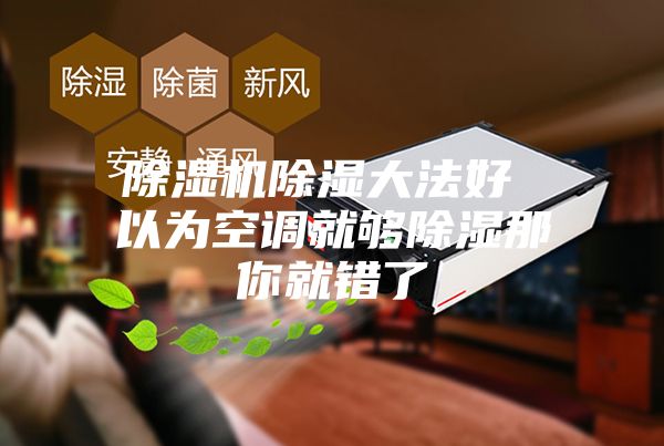 除濕機除濕大法好 以為空調就夠除濕那你就錯了