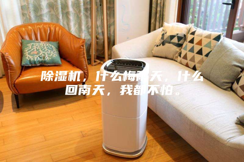 除濕機，什么梅雨天，什么回南天，我都不怕。