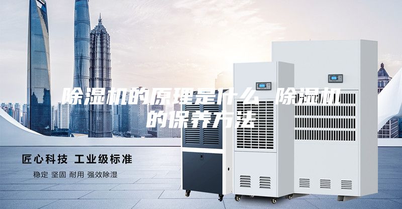 除濕機的原理是什么 除濕機的保養(yǎng)方法