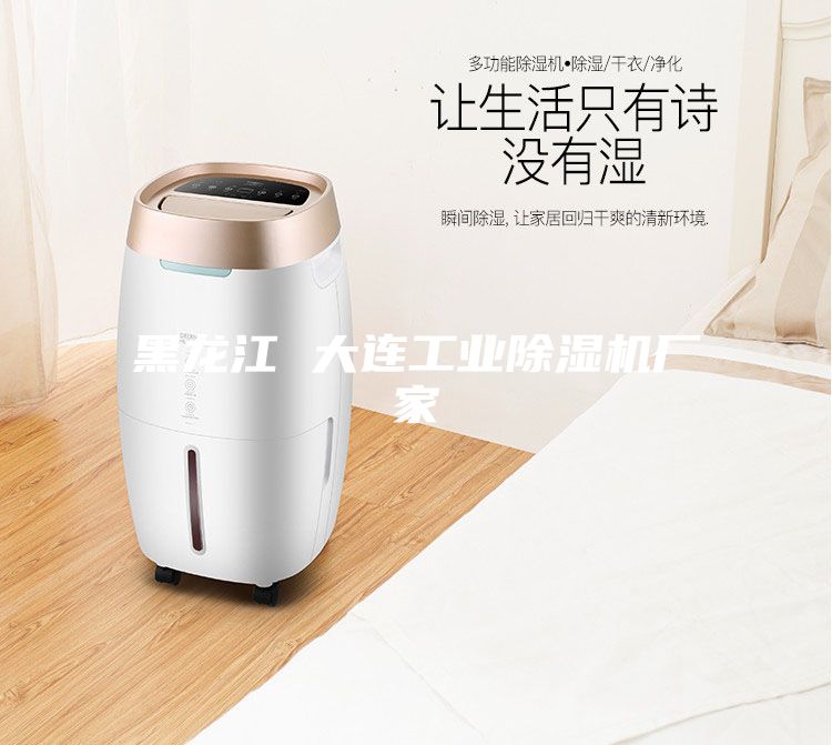 黑龍江 大連工業除濕機廠家