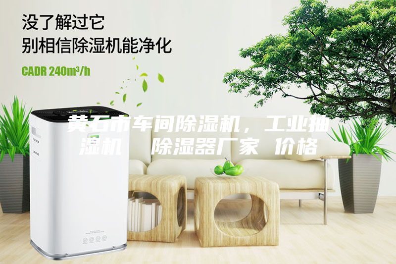 黃石市車間除濕機，工業抽濕機  除濕器廠家 價格