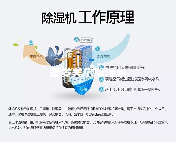 霍菱美爾除濕機